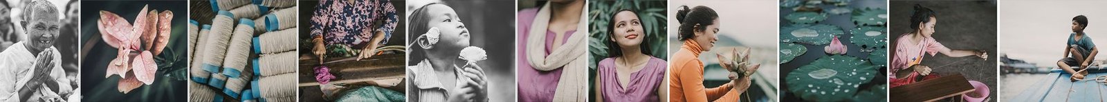 Book Lotus Flower pictures