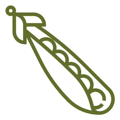 Ferme du Lotus Textile de kapok