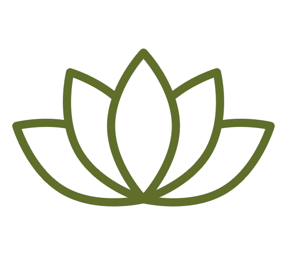 Lotus Farm Lotus Silk