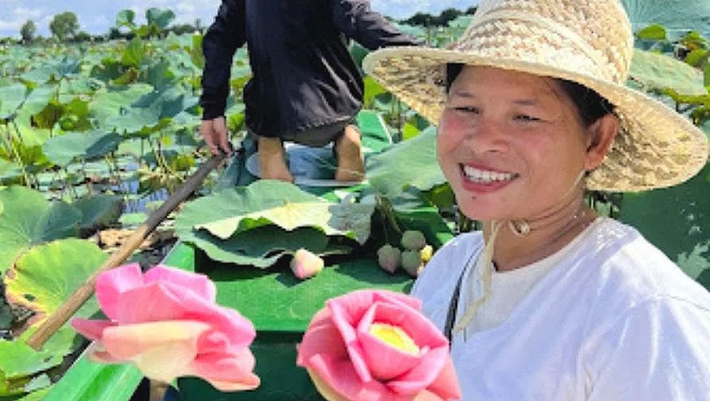 Lotus Farm The magic of our guided visits