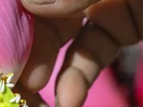 Lotus FarmTradition meets innovation 2/4