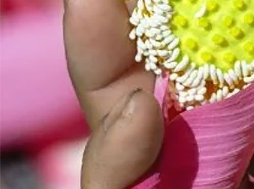 Ferme du Lotus Tradition et innovation 3/4