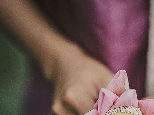 Ferme du Lotus B2B Partenaire dans le luxe durable 1/4