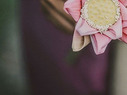 Ferme du Lotus B2B Partenaire dans le luxe durable 3/4