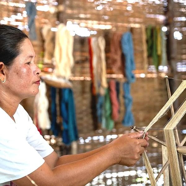 Ferme du Lotus Explorer notre processus