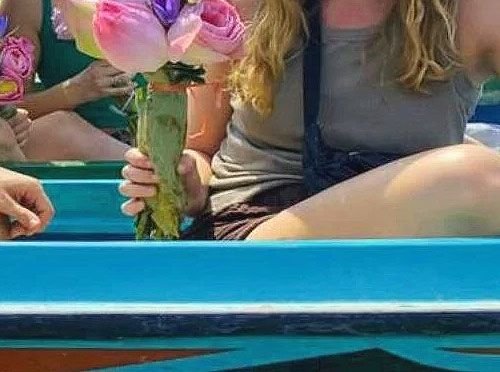 Lotus Farm Tours, workshops and boat trips 4/4