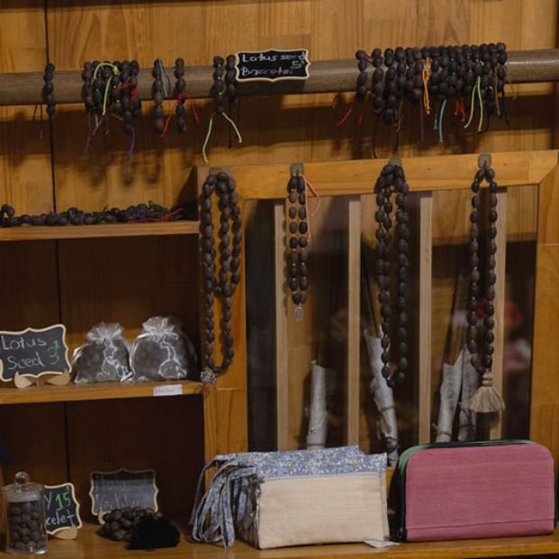 Ferme du Lotus Bijoux graine de lotus