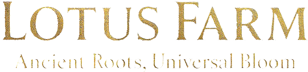 Lotus Silk Farm, Ancient roots, Universal Bloom, Siem Reap