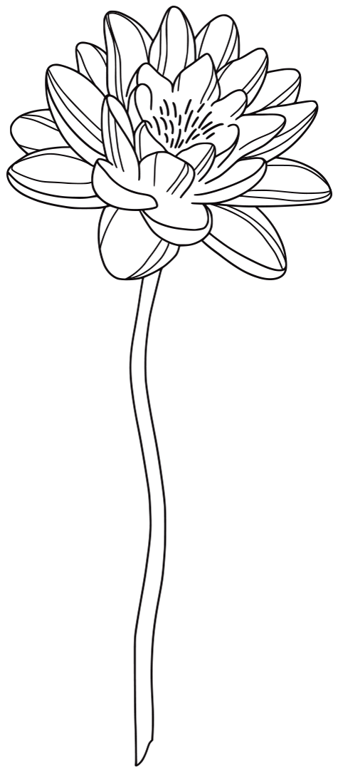 Ferme du Lotus Créations durables en lotus