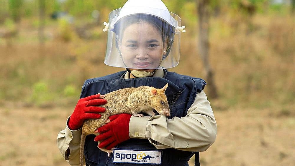 APOPO