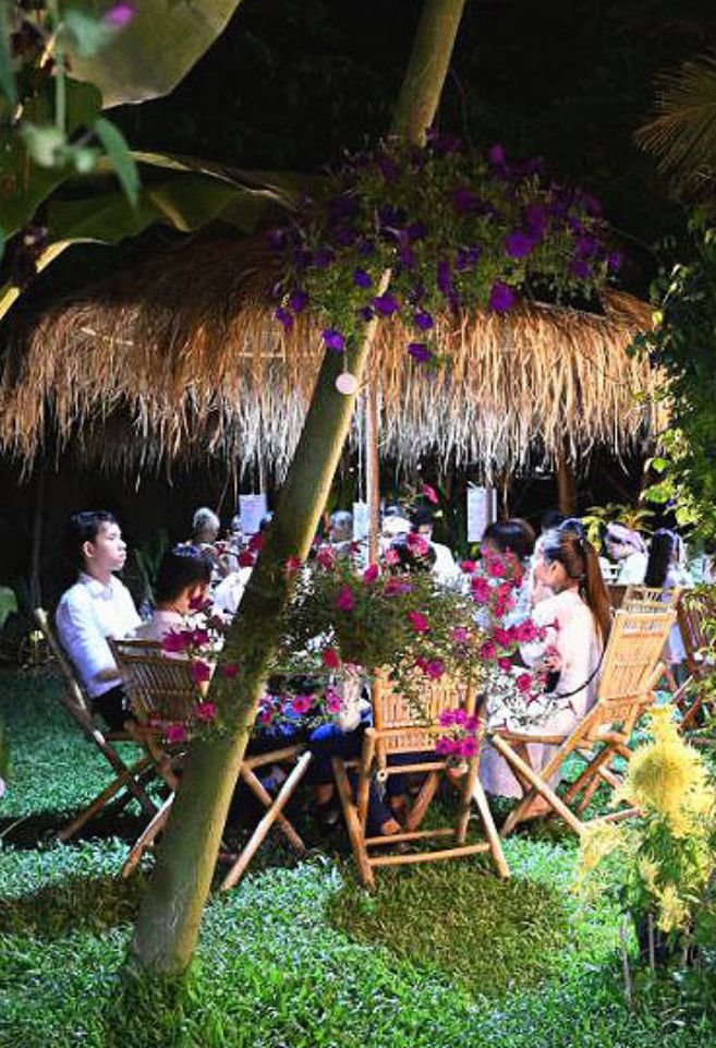 Sacred Lotus Evening Gallery 08