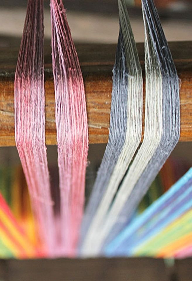 Sacred Lotus Evening Gallery 05