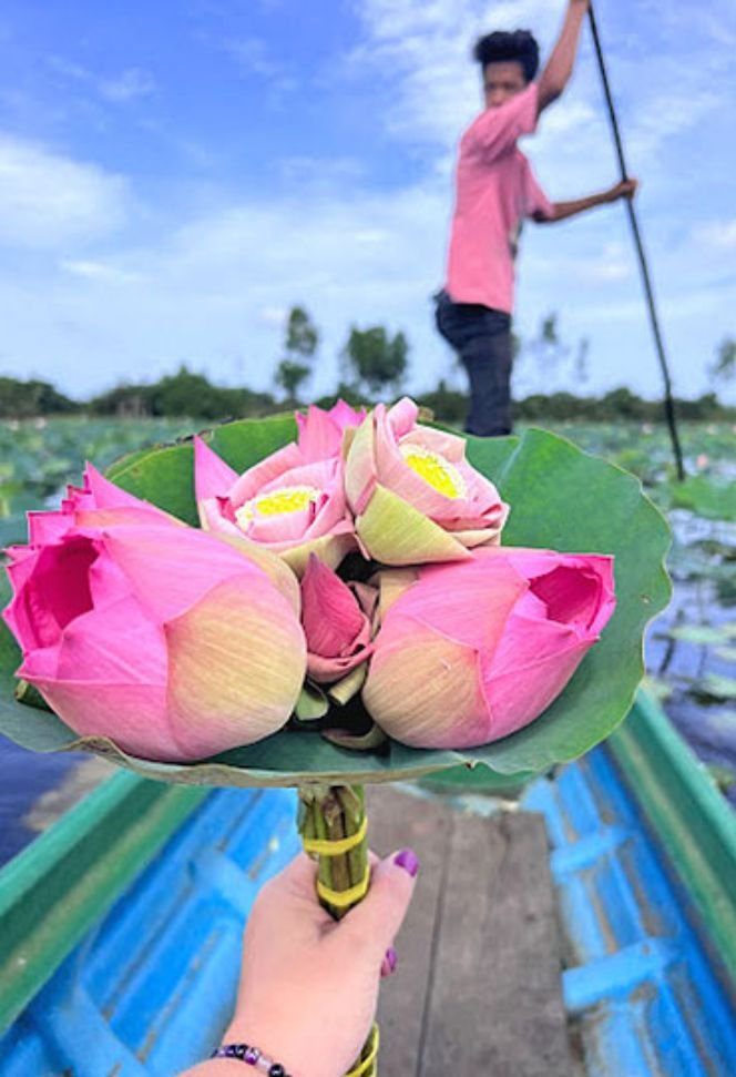 Ferme de soie de Lotus Package experience au lac